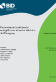 Promoviendo la eficiencia energética en el sector eléctrico del Paraguay